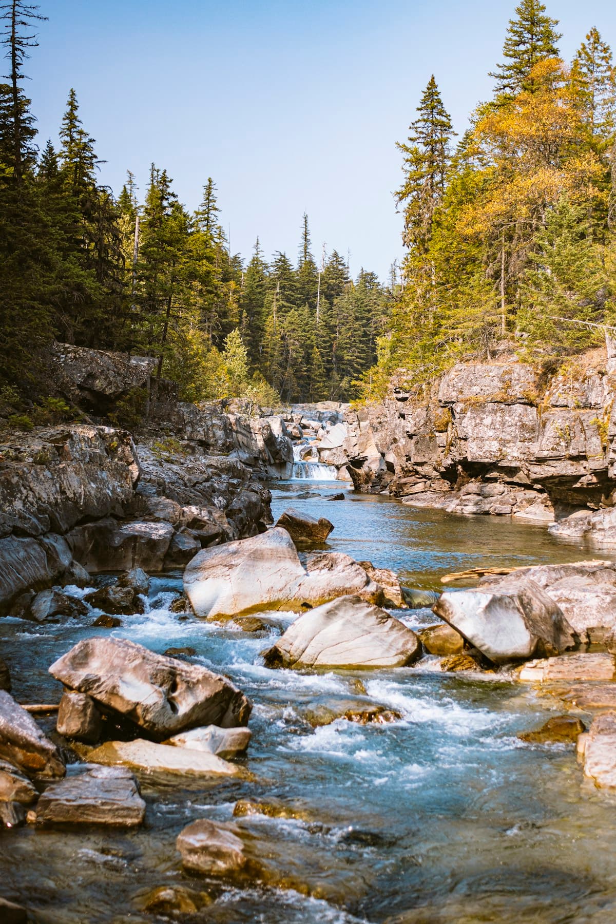Fly Fishing Glacier National Park: Native Cutthroat, Wild Rivers, and Backcountry Water That Hasn't Changed in a Thousand Years