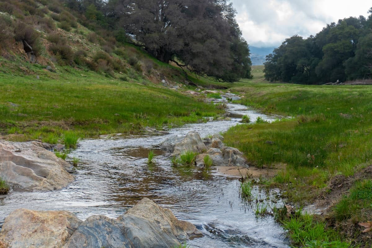 Fly Fishing the Driftless Area: The Best Spring Creek Fishing You've Never Heard Of, Three Hours From Chicago