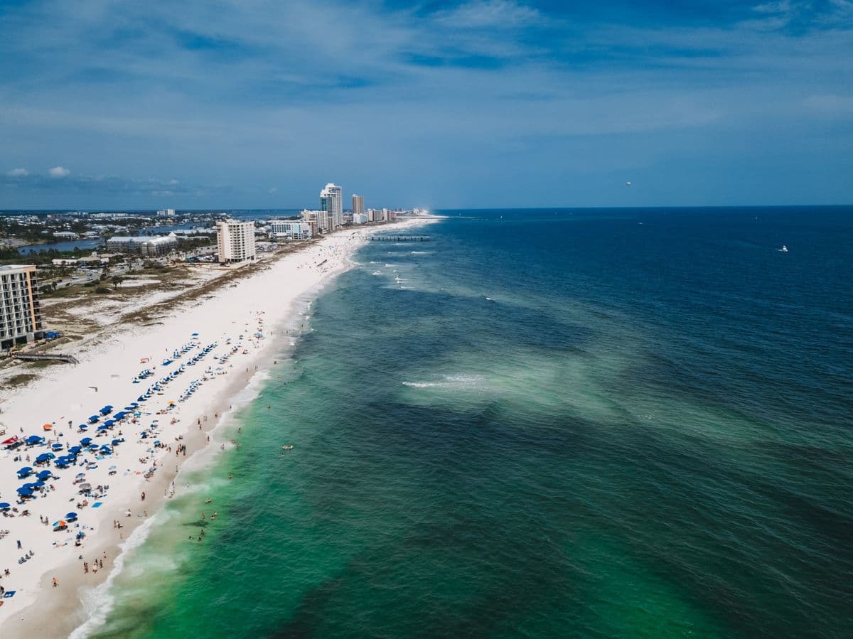 How to Fish Gulf Shores, Alabama: A Beginner's Guide to Pier, Surf, and Bay