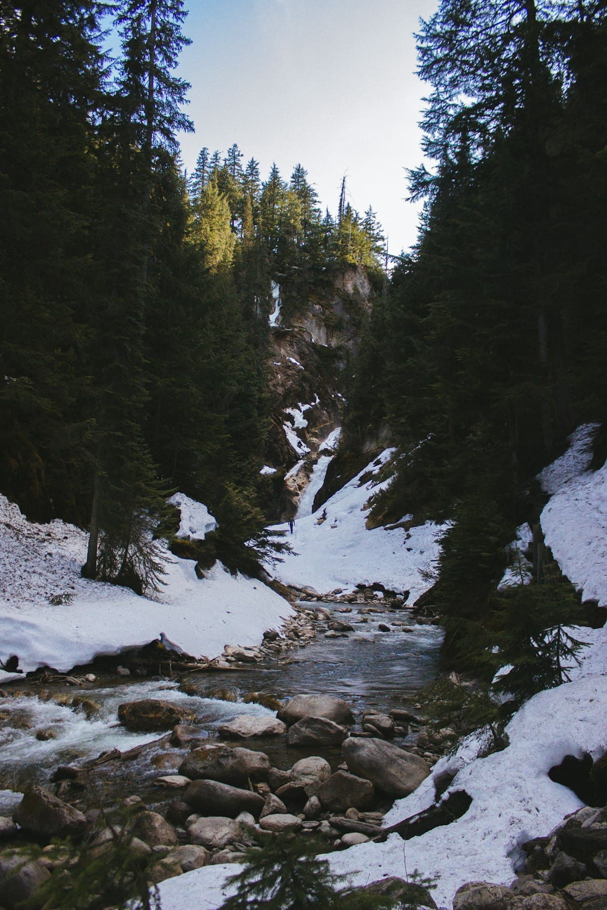 Fishing the Ram River: Backcountry Cutthroat Trout in Alberta's Rocky Mountain Foothills