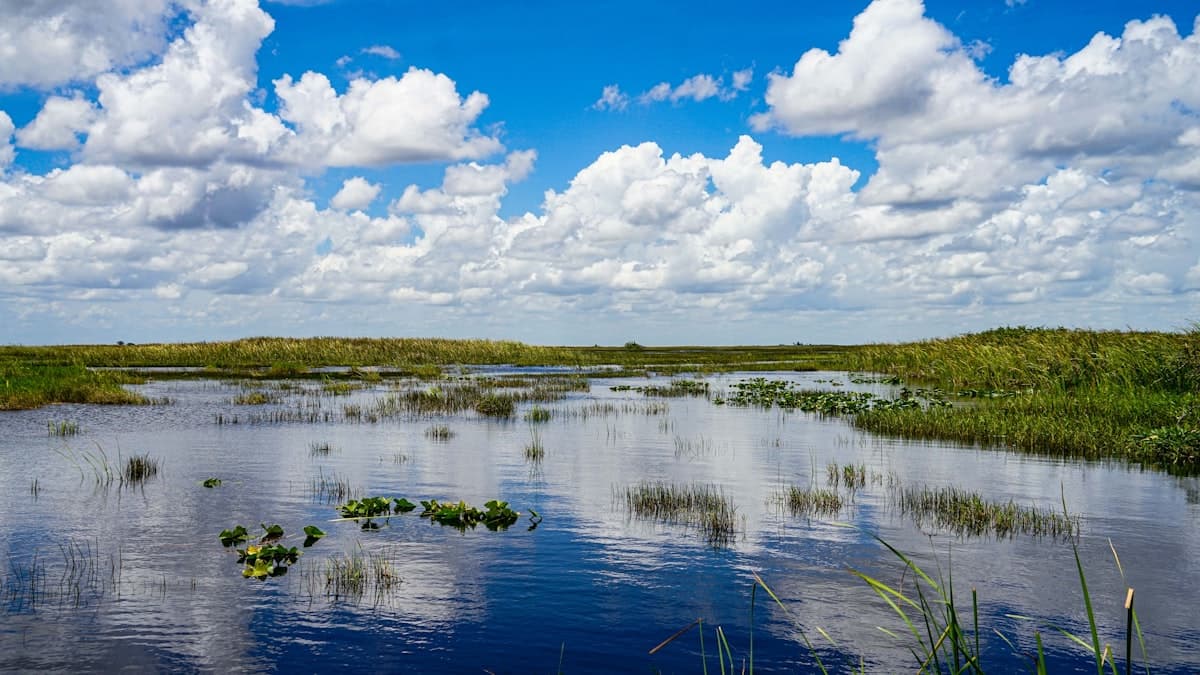 Fly Fishing Everglades National Park: Tarpon, Snook, and Redfish in America's Wildest Saltwater Backcountry