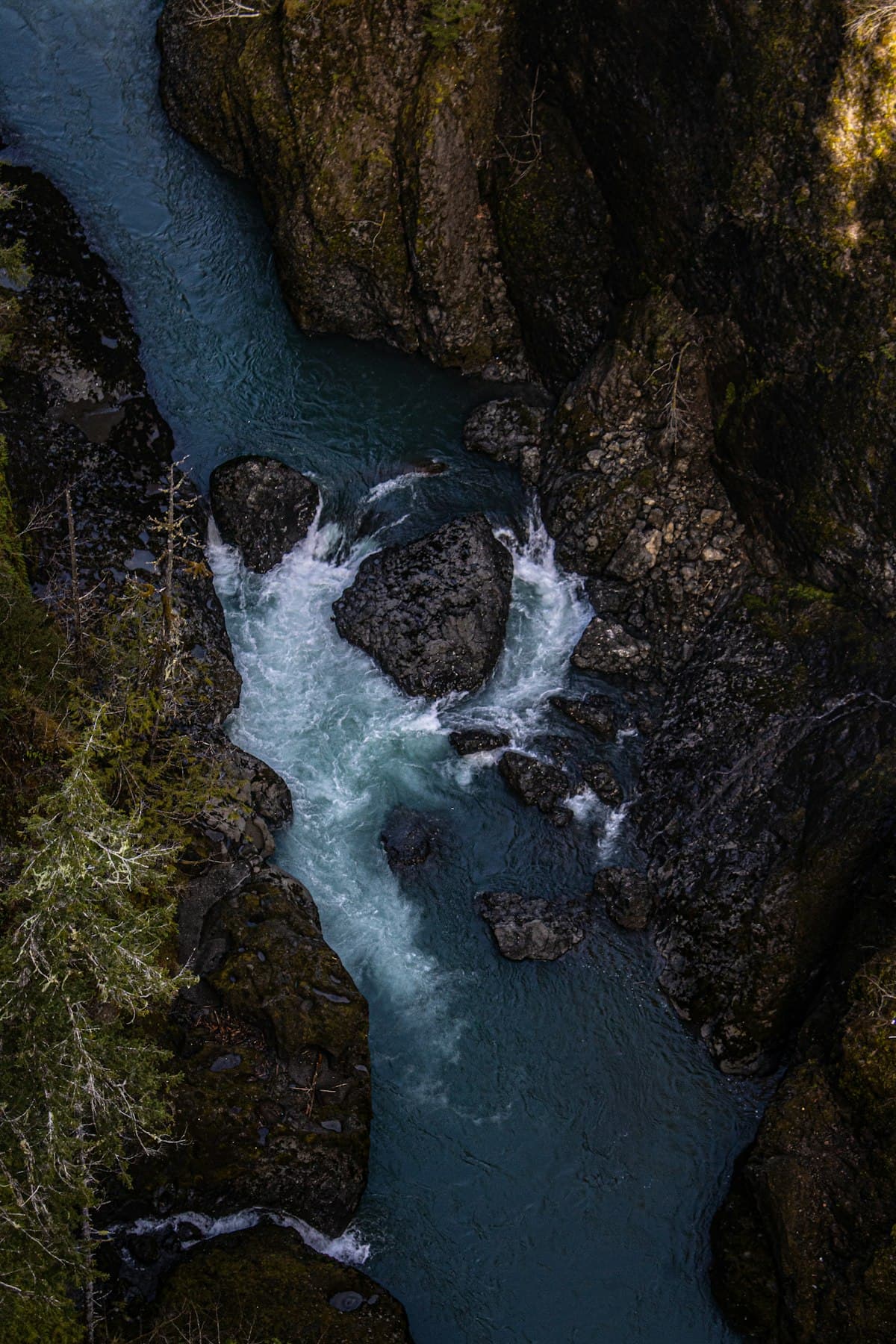 Tying the Intruder: The Fly That Changed Steelhead Fishing Forever