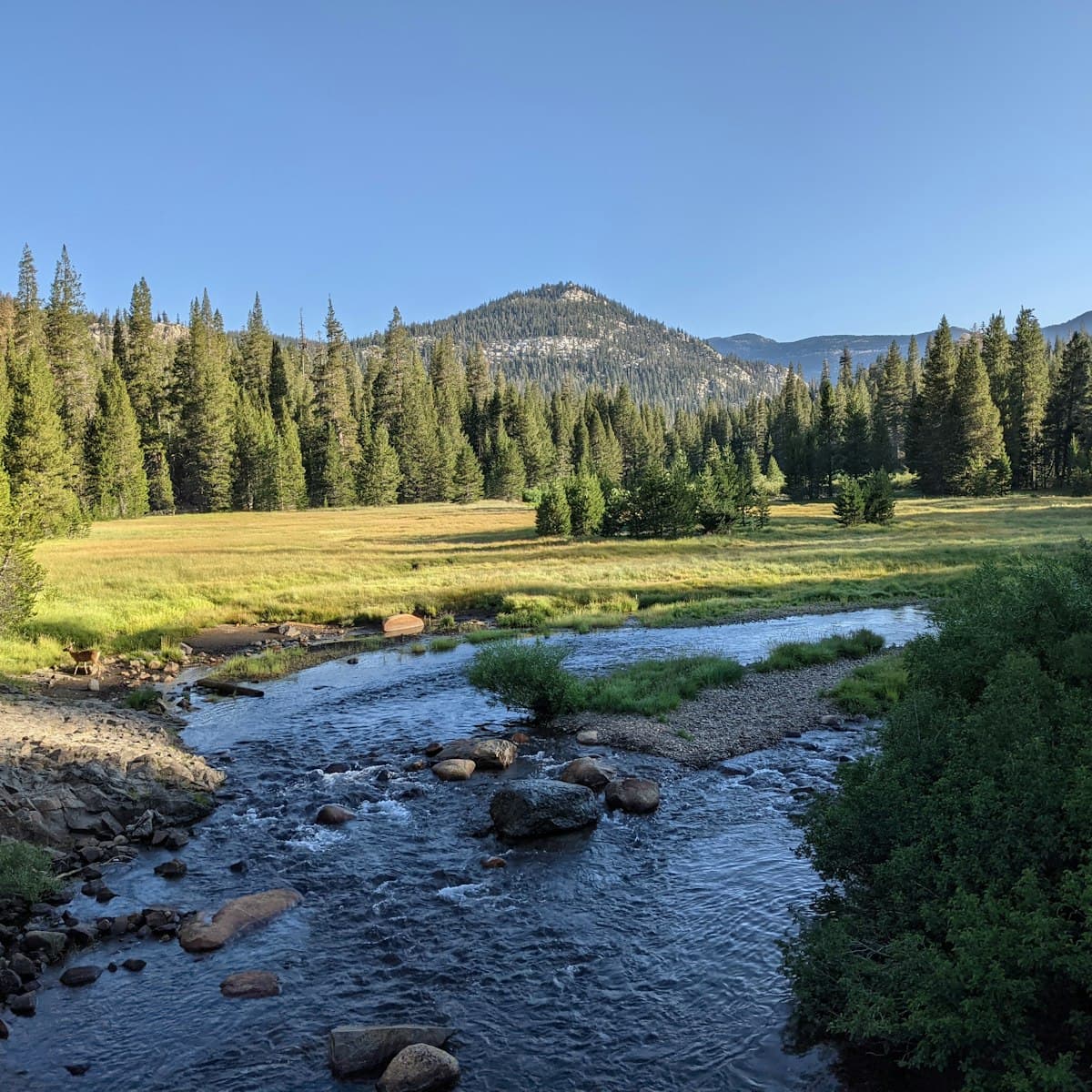 Fly Fishing the Henry's Fork: Railroad Ranch, Box Canyon, and the River That Tests Everything You Think You Know