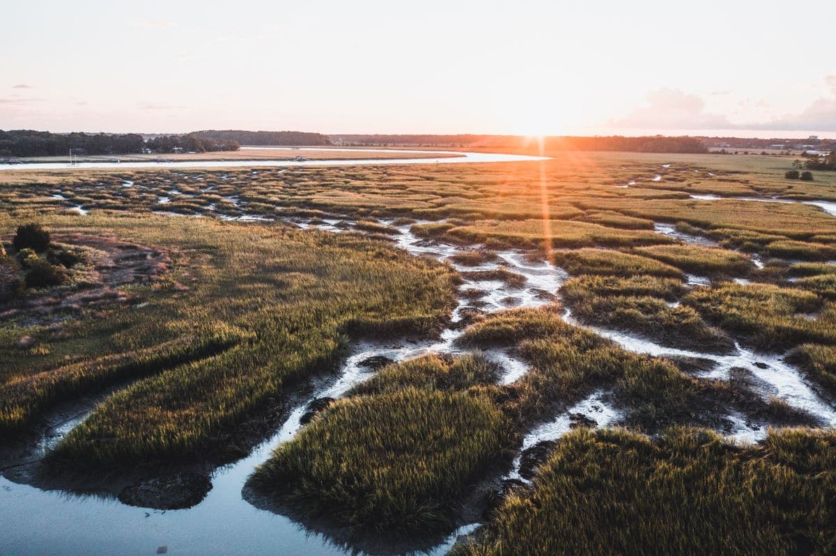 How to Fish Savannah, Georgia: A Beginner's Guide to Marsh Creeks, Wassaw Sound, and Lowcountry Redfish
