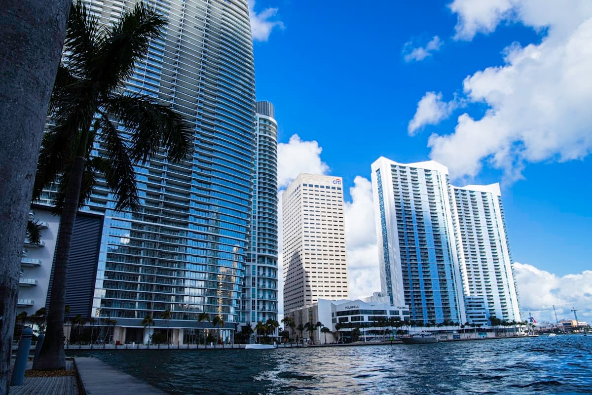 Miami Fishing: Bonefishing at Breakfast, Sailfish by Lunch