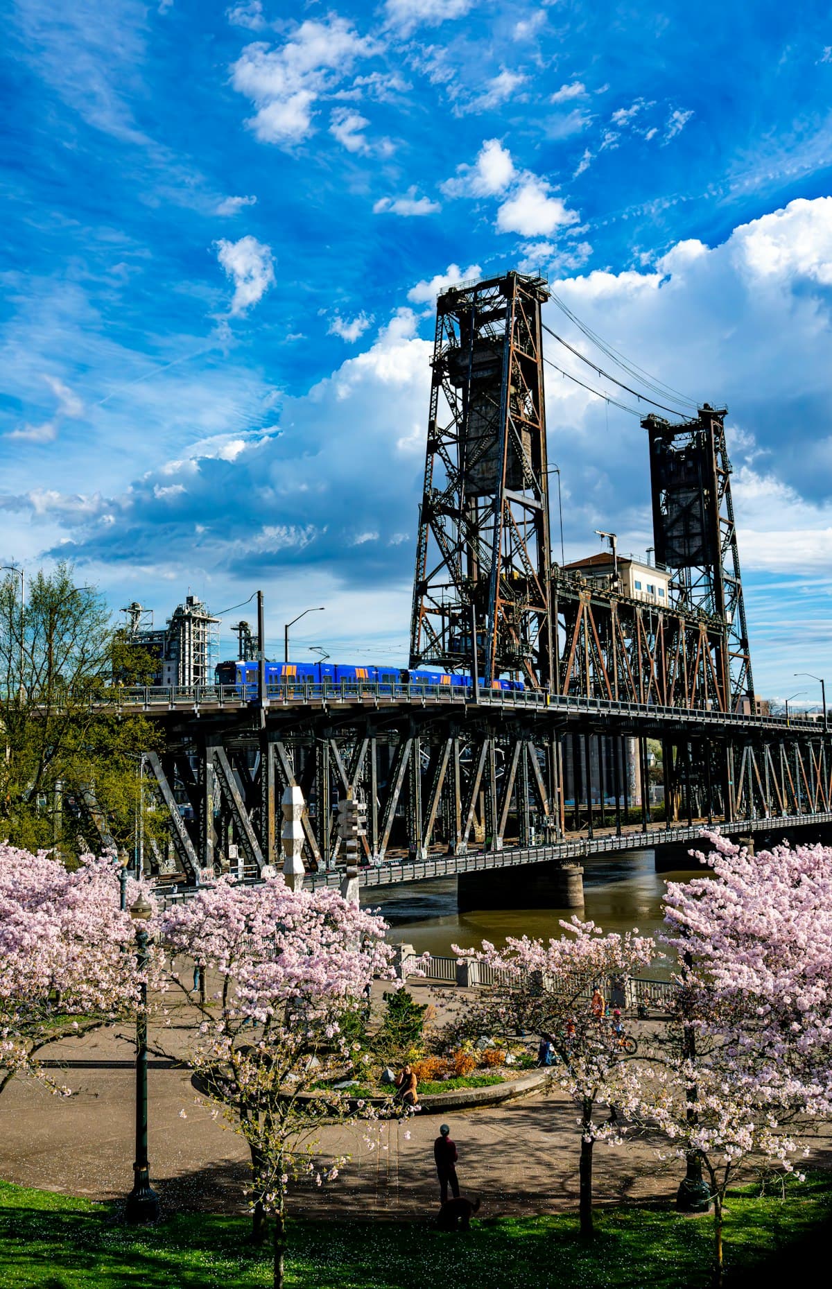 Urban Fishing in Portland: Salmon in the Willamette, Smallmouth Under the Bridges, and Sturgeon Past the Skyline