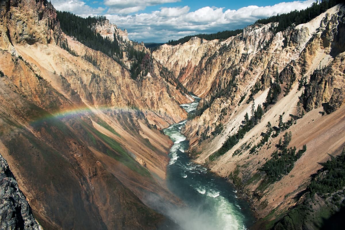 Fly Fishing Yellowstone National Park: Cutthroat in the Meadows, Wolves on the Ridge, and the Strangest Trout Stream on Earth