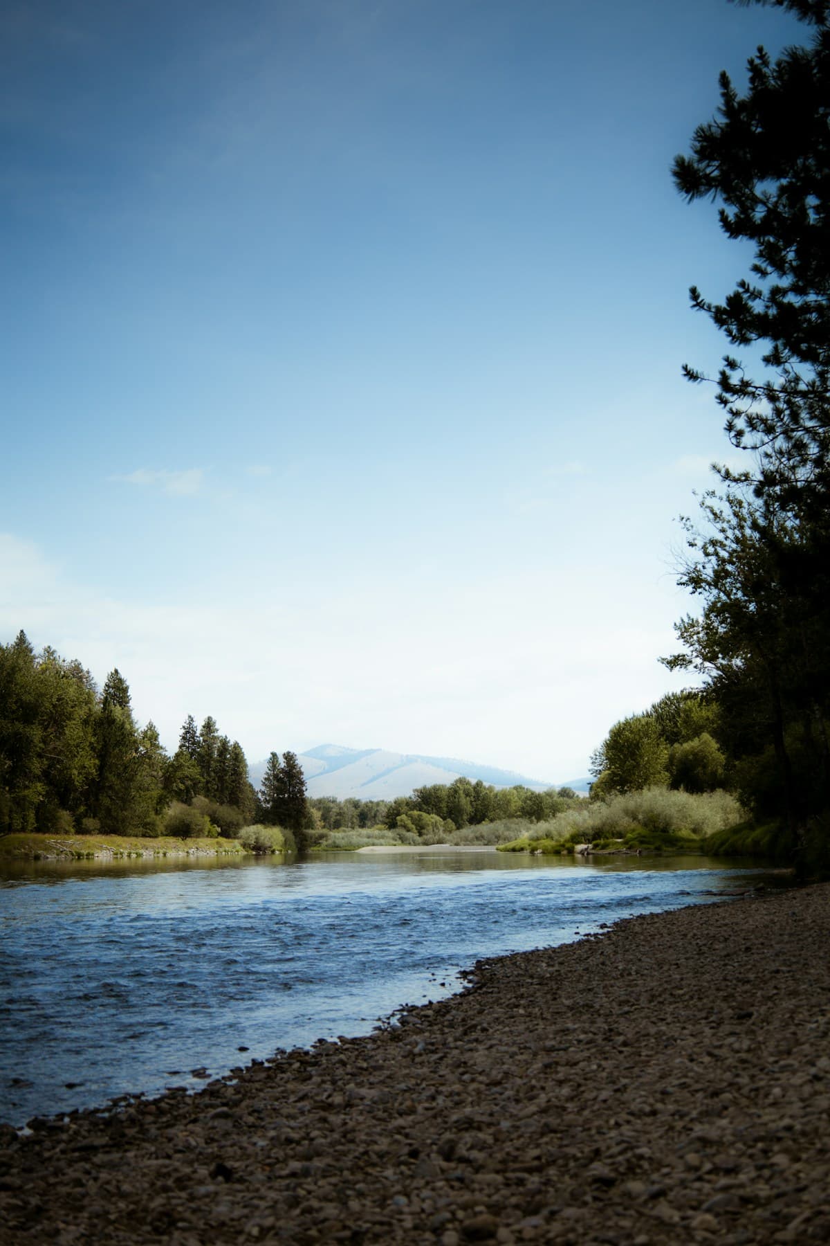 Fly Fishing the Methow River: Wild Trout, Western Town Vibes, and Washington's Best Dry-Side Water