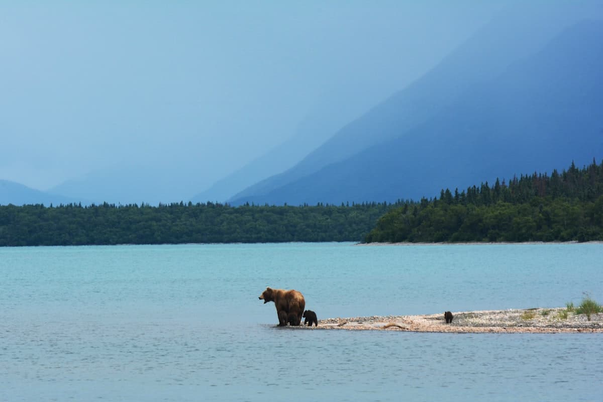 Seward Fishing: Resurrection Bay, Kenai Fjords, and the Silver Salmon Capital of the Kenai Peninsula
