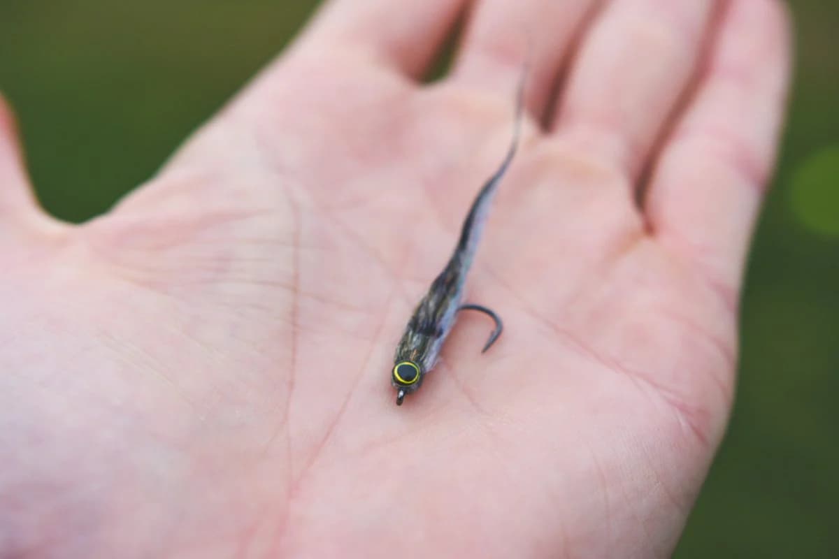 The Chum Fry: How to Tie the Spring Pattern That Turns Puget Sound Into a Feeding Frenzy
