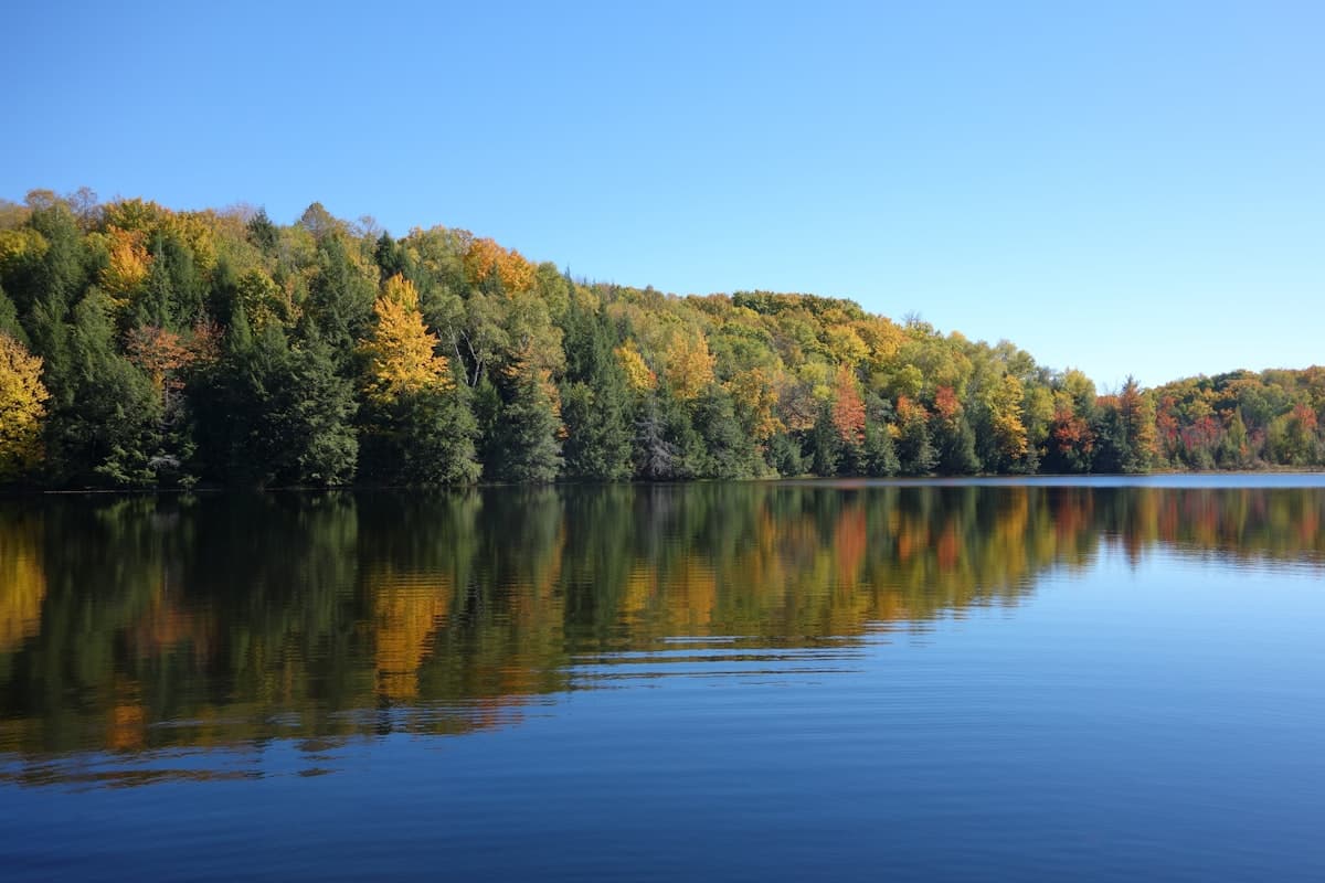 Hayward Fishing: The Muskie Capital and the Flowage That Made It Famous