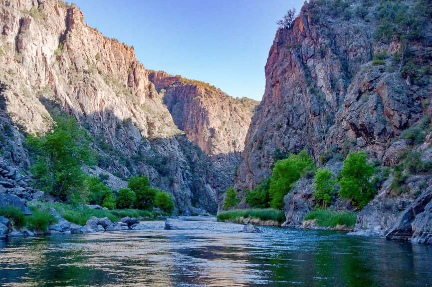 Fly Fishing Black Canyon of the Gunnison: Gold Medal Trout in America's Most Dramatic Canyon