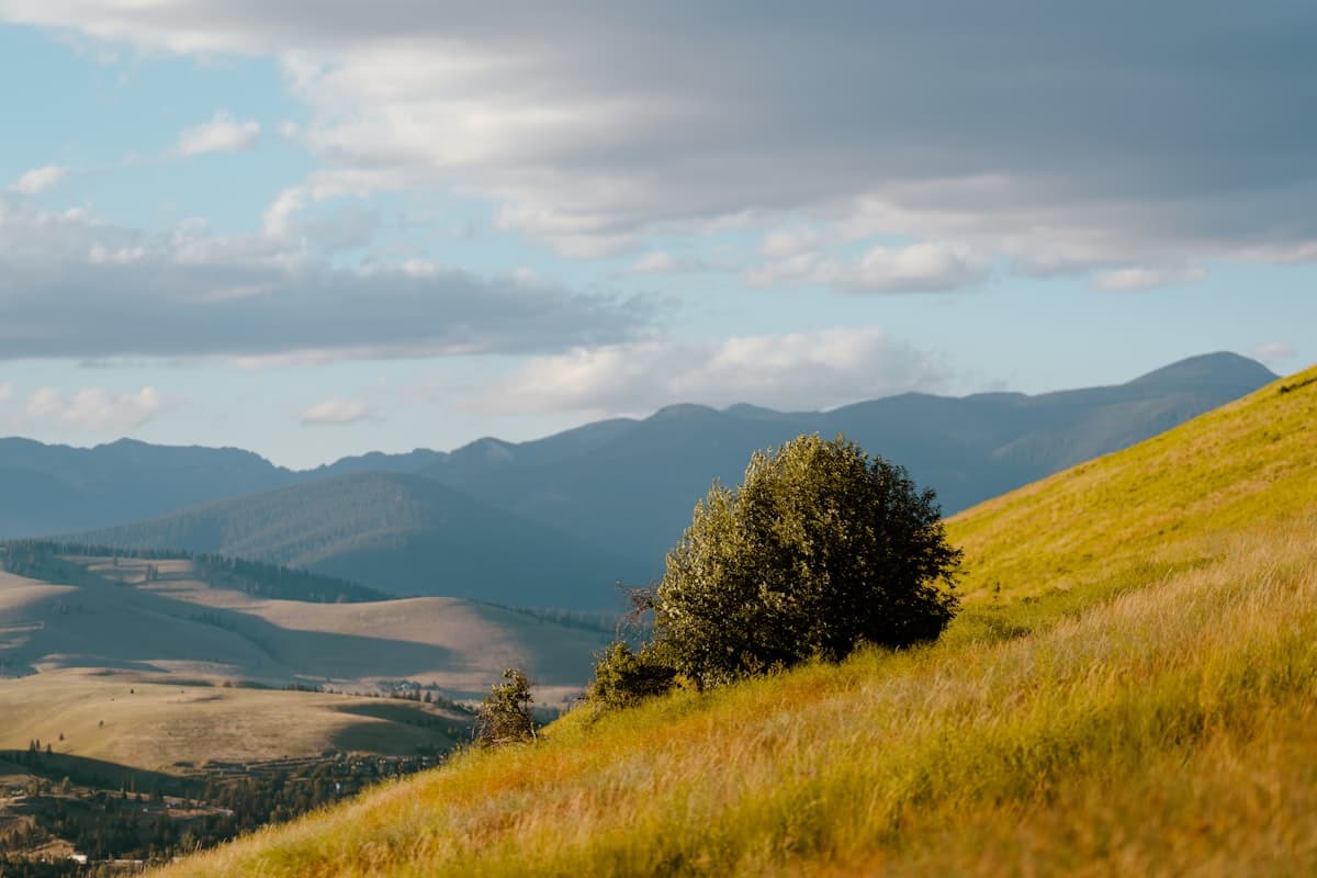 Your Guide to Fishing in Missoula, MT