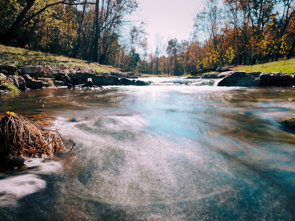 How to Fish Mountain Home and the White River, Arkansas: A Tailwater Guide to World-Class Trout Below Bull Shoals Dam