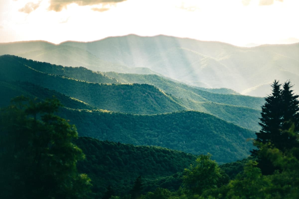 Fly Fishing Shenandoah National Park: Native Brook Trout, Mountain Streams, and the Best Small-Water Fishing on the East Coast