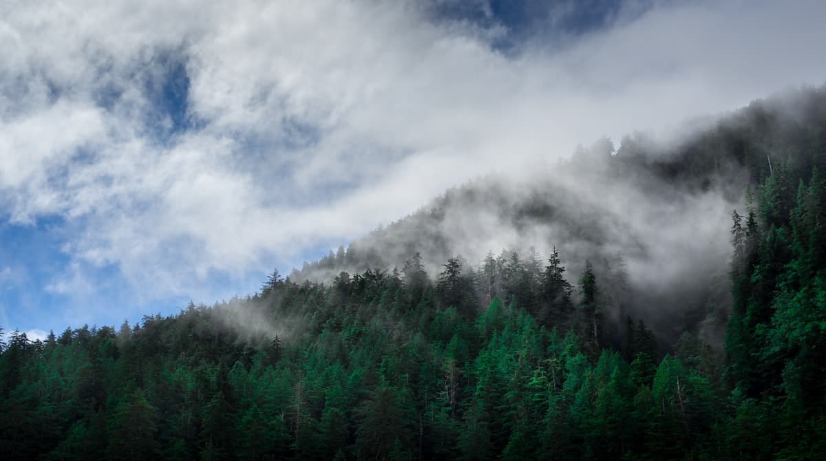 Fishing Haida Gwaii: Remote Lodge Fishing at the Edge of the Pacific