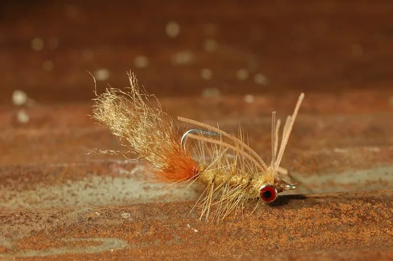 The Spam and Eggs: How to Tie the Hawaiian Bonefish Fly That Imitates What No Caribbean Pattern Can