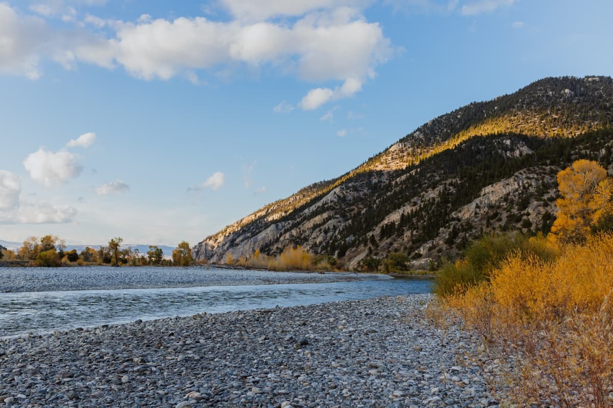 Fly Fishing the Bighorn River: The Technical Tailwater, the Trico Dawn, and the 13 Miles That Reward Patience