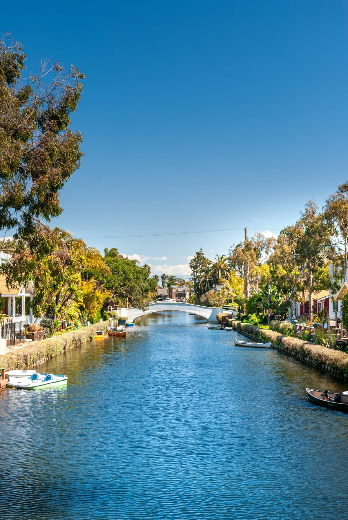 Urban Fishing in Los Angeles: Carp in the LA River, Trout in City Parks, and Pier Fishing Without Leaving the 405