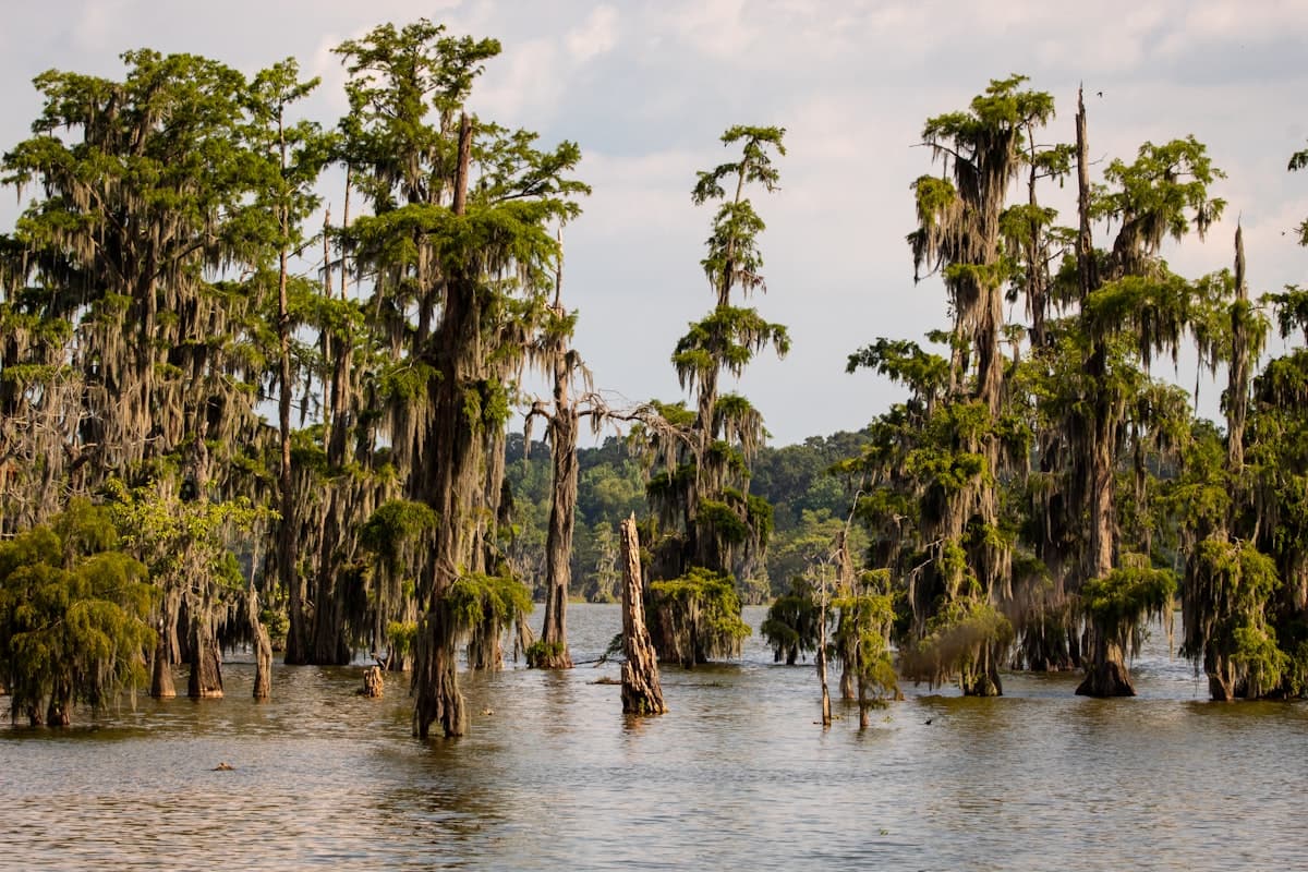 Venice, Louisiana: Where the Mississippi Meets the Gulf and the Fishing Defies Logic