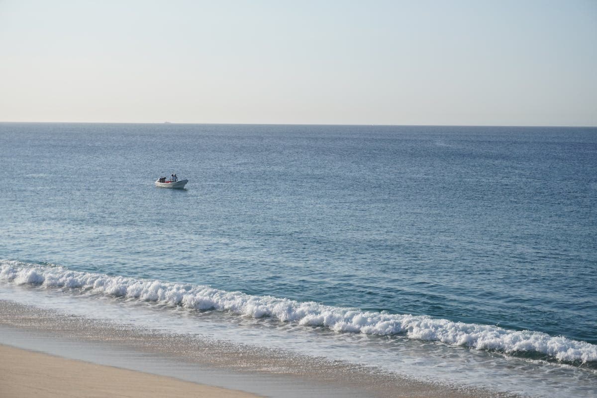 How to Fish Cabo San Lucas: A Beginner's Guide to Marlin, Dorado, and the World's Best Charter Fishing