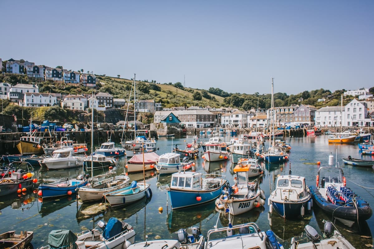 Fishing Westport: Everything You Need to Know Before You Book
