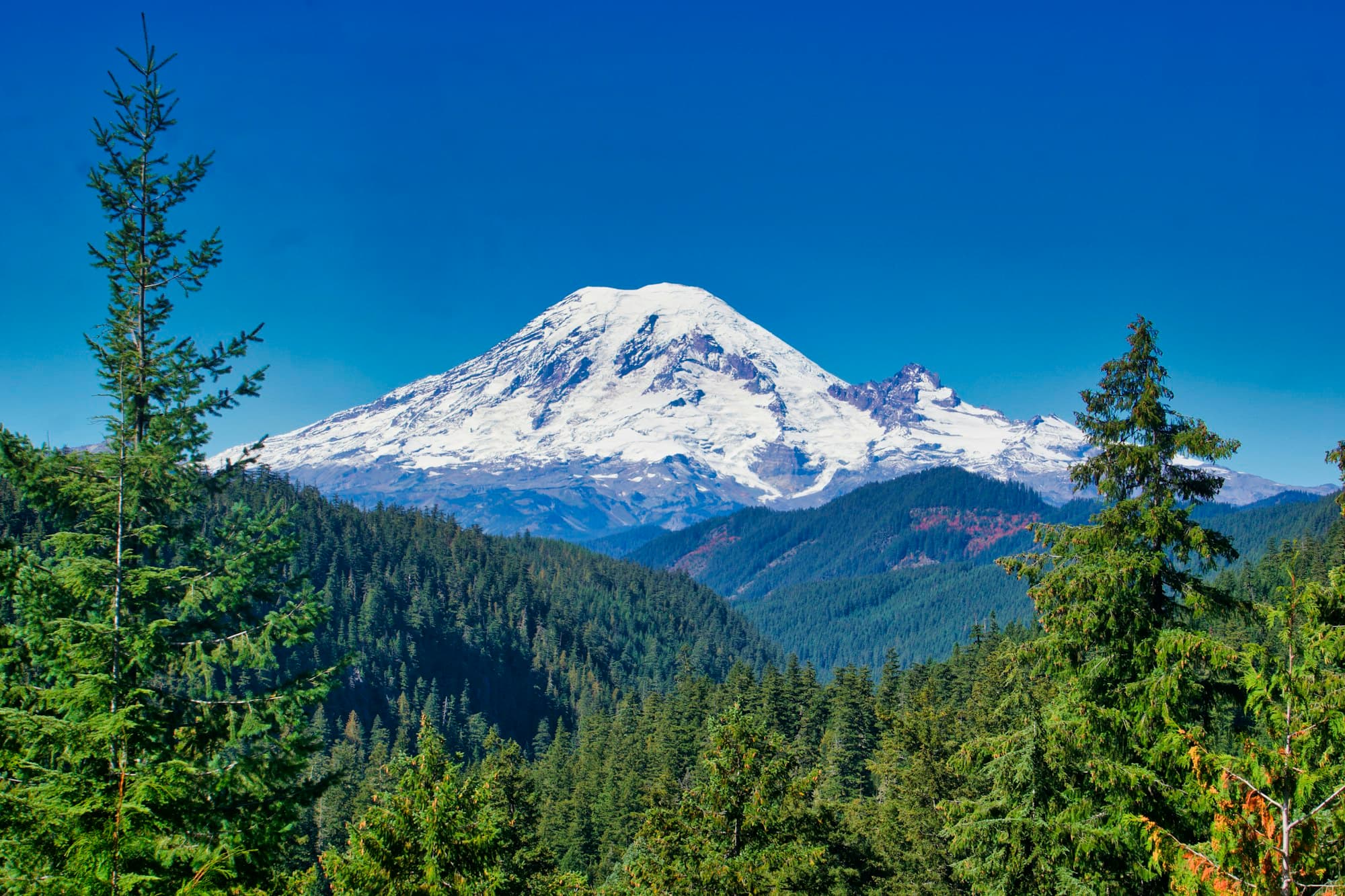 Fly Fishing Mount Rainier National Park: Glacier Silt, Clear Streams, and Wild Cutthroat Under the Volcano