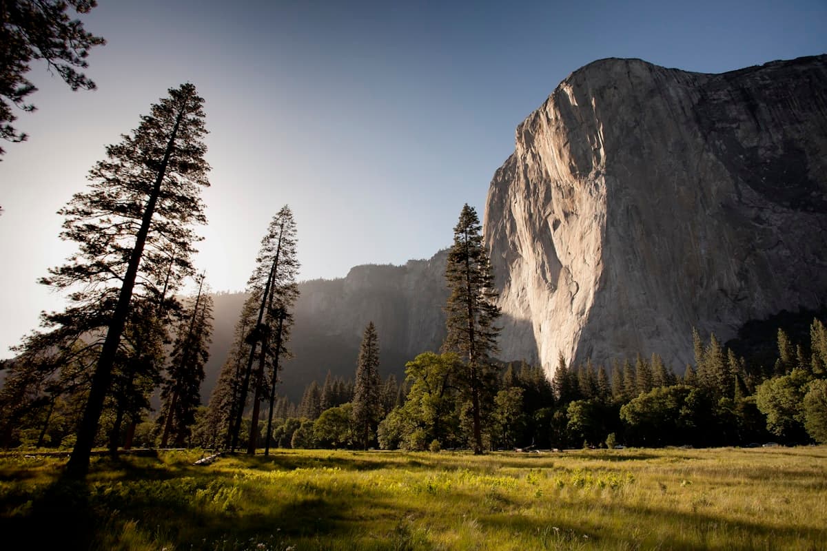 Fly Fishing Yosemite National Park: The Merced, the Tuolumne, and Trout Beneath the Granite Walls