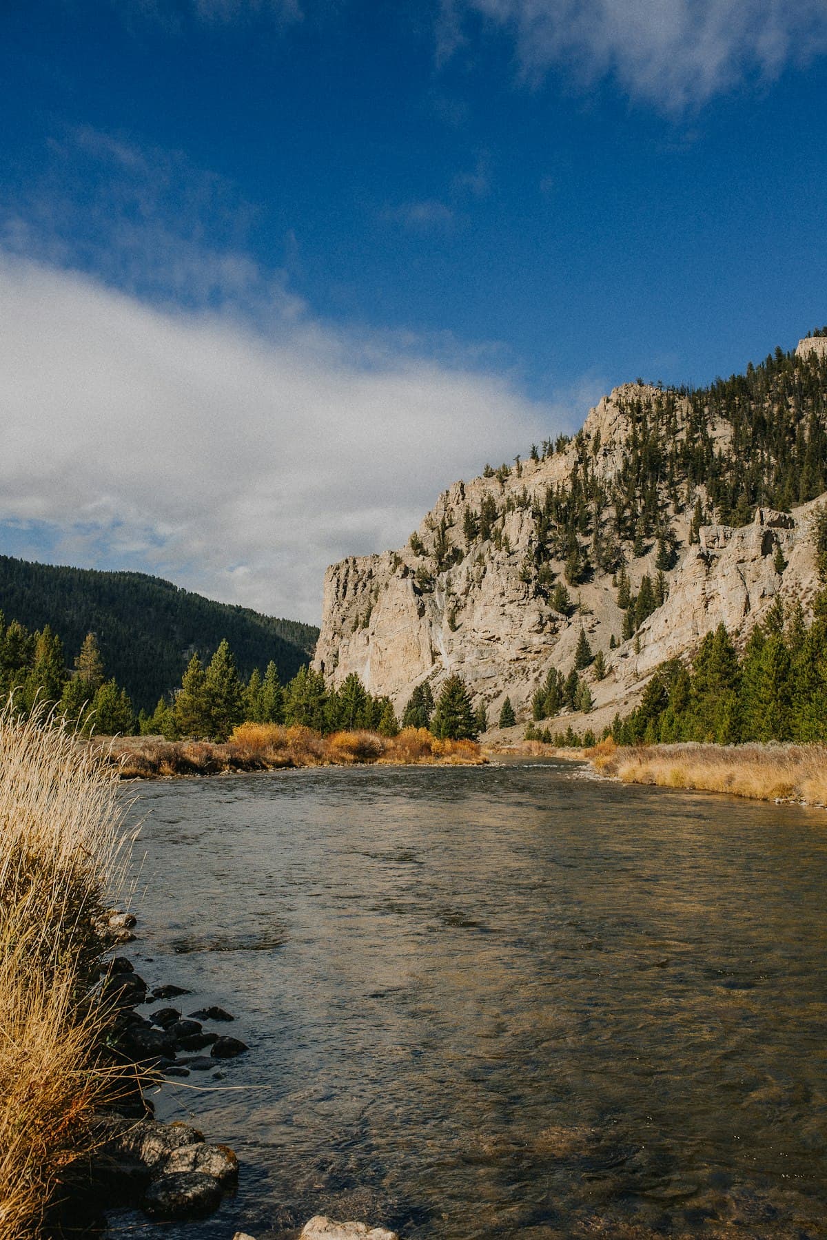 Fly Fishing the Missouri River: The Widest Trout River in Montana, the Longest Hatches, and the Town That Exists Because of Both