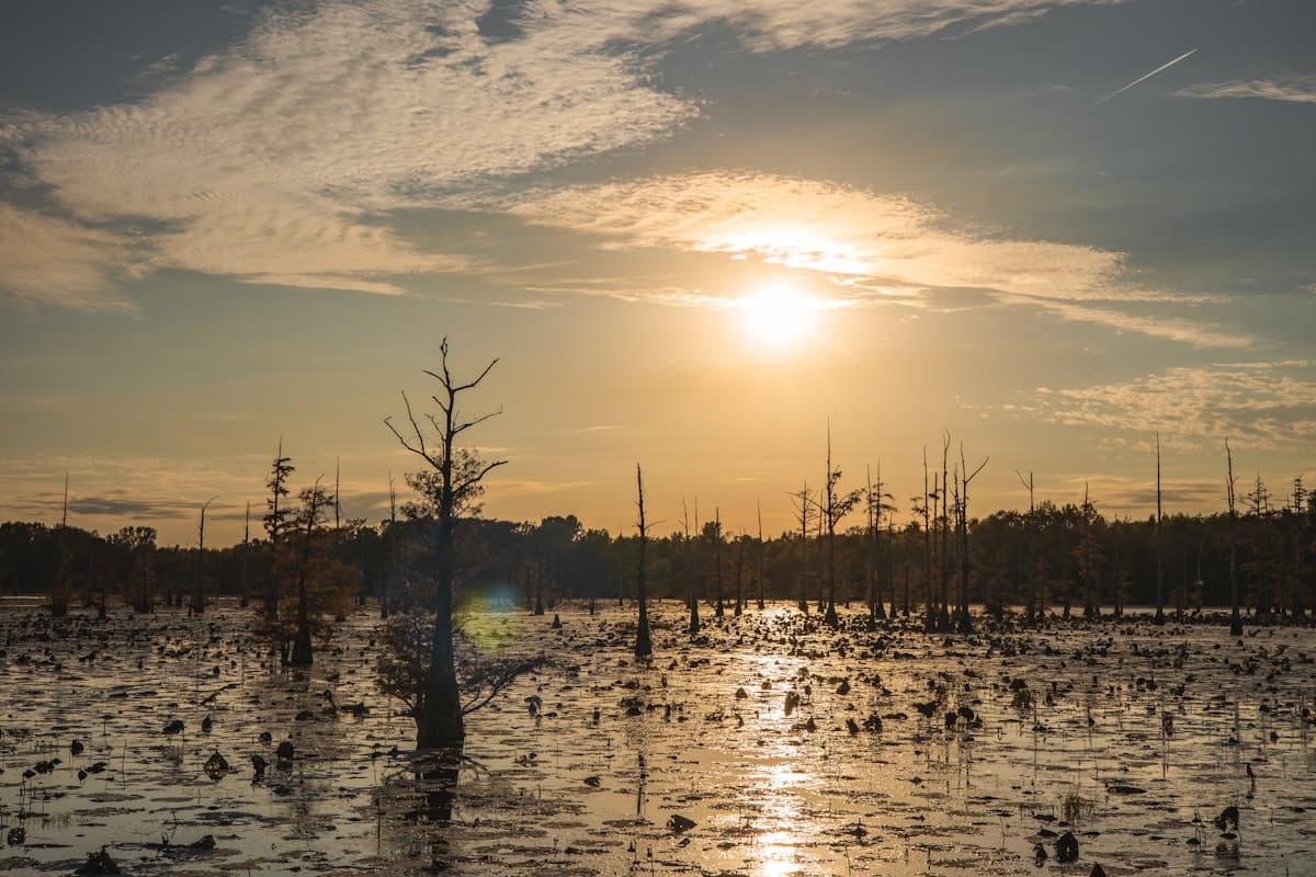 How to Fish New Orleans: A Beginner's Guide to Marsh Redfish, Bayou Bass, and the Delta