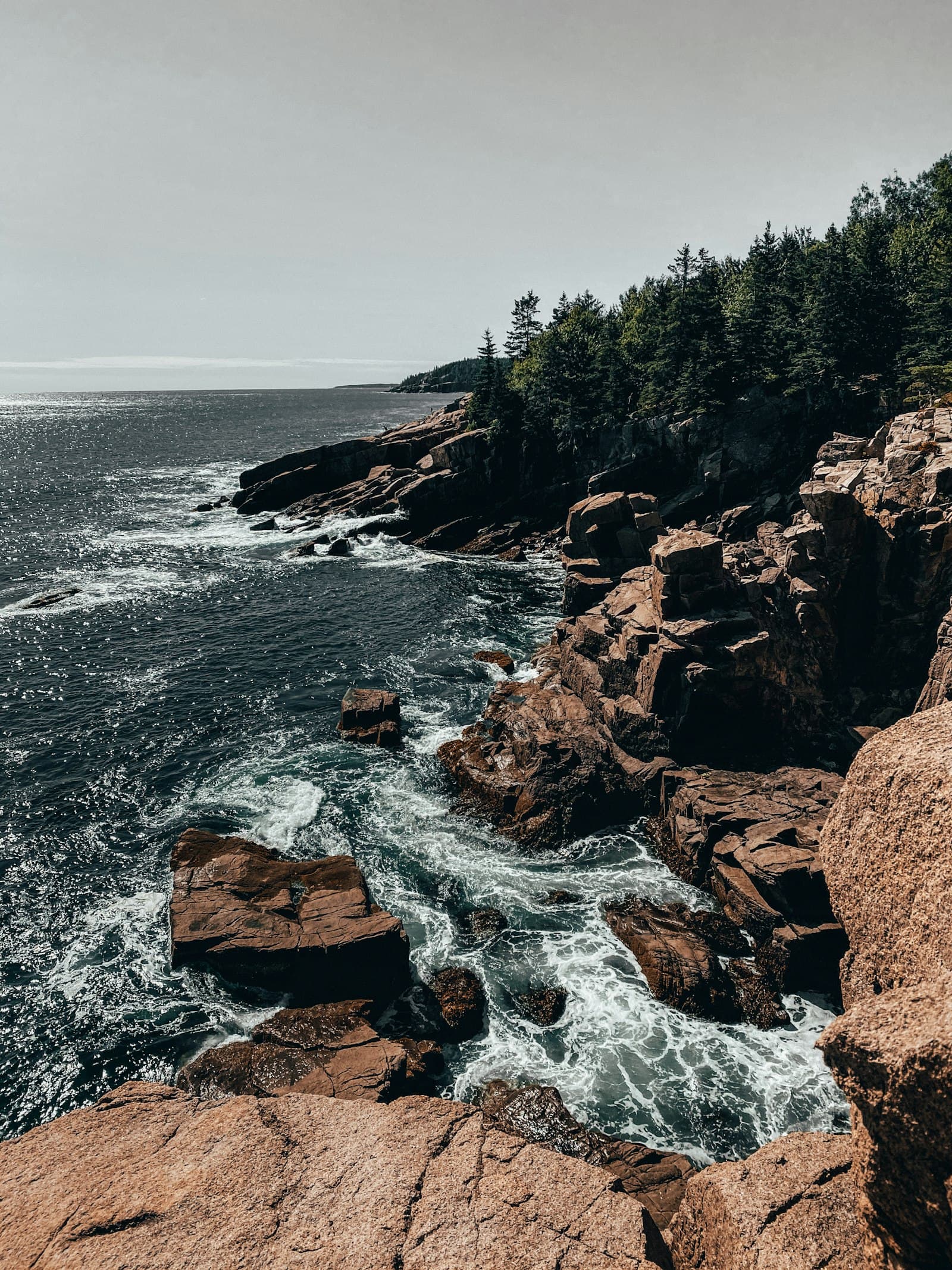 Fly Fishing Acadia National Park: Brook Trout Ponds, Saltwater Stripers, and the Maine Tradition