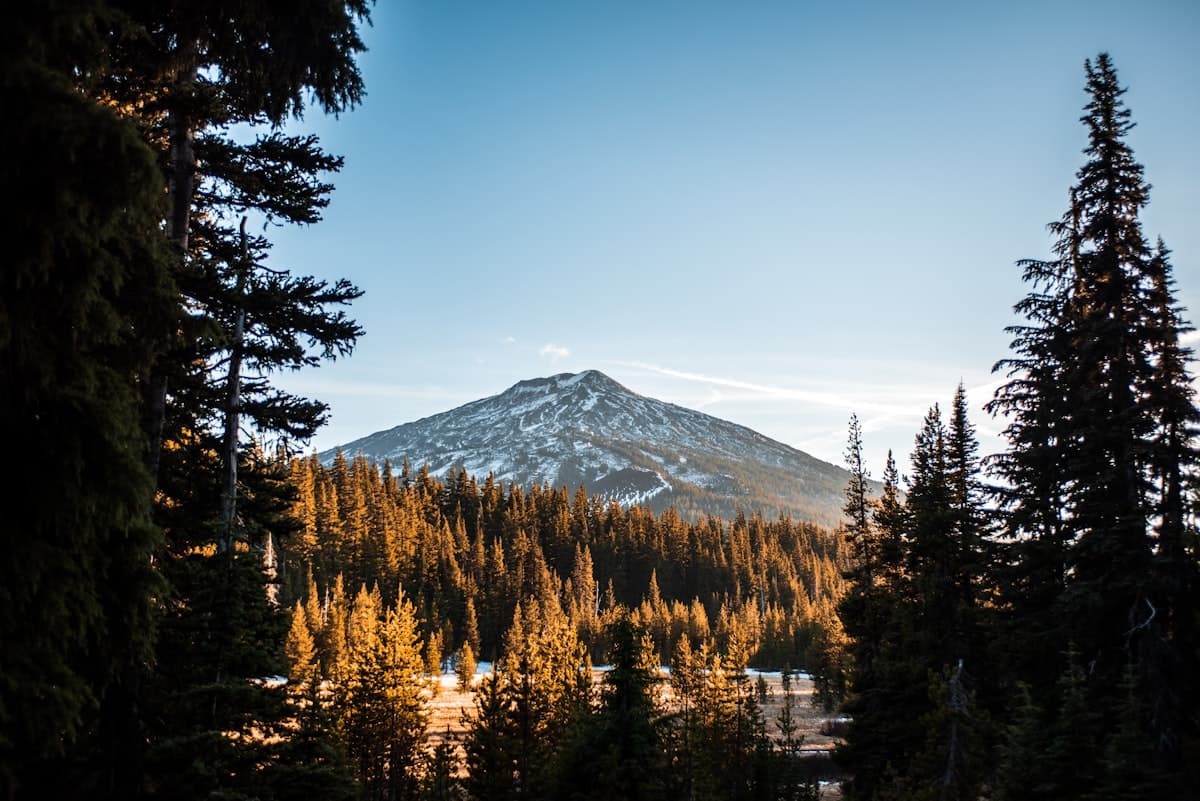 Bend Fishing: 50 Fishable Waters Within 90 Minutes and a River That Runs Through Town
