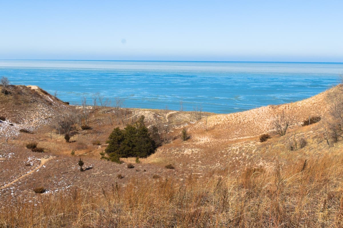 Fly Fishing Indiana Dunes National Park: Great Lakes Steelhead, Trail Creek Chrome, and the Best Fishing an Hour from Chicago