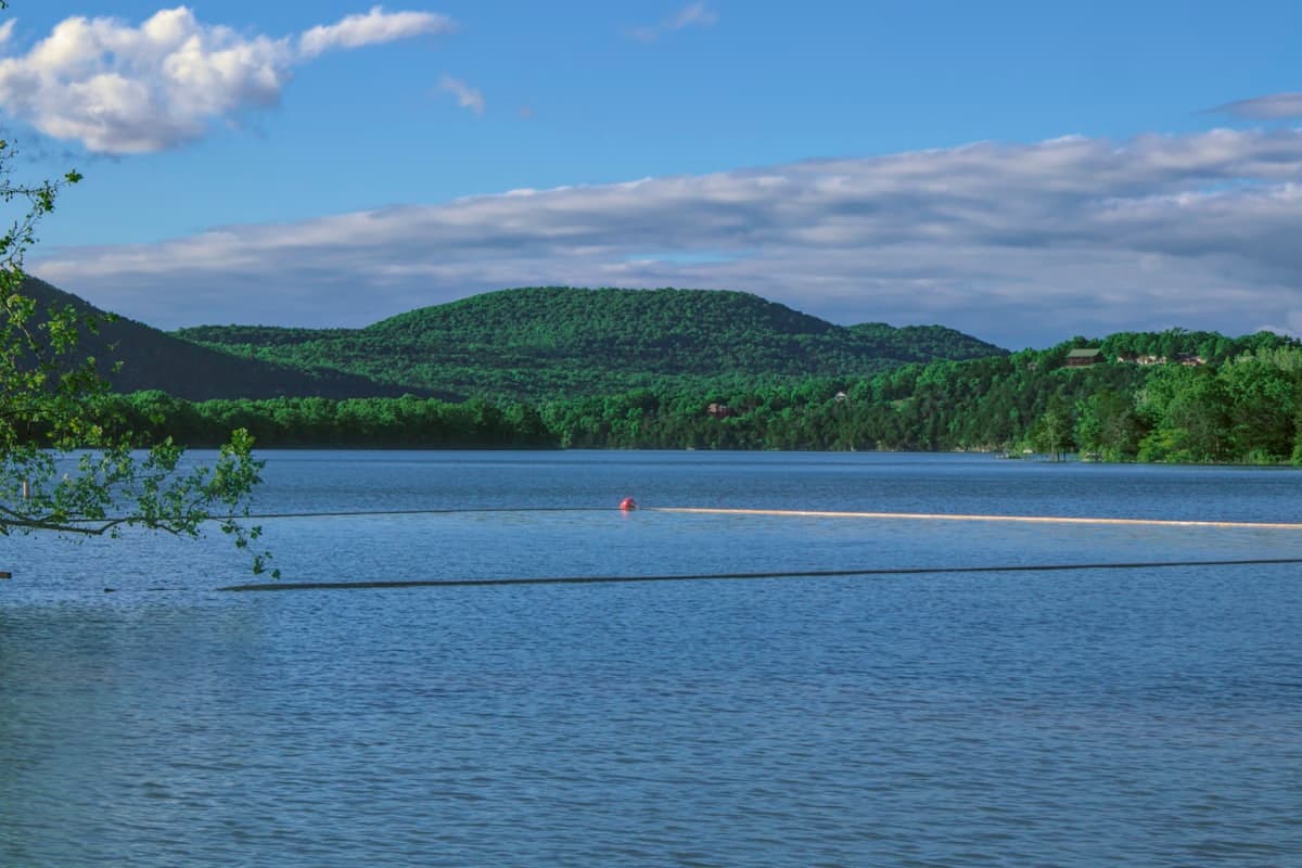Lake of the Ozarks Fishing: 54,000 Acres, 1,150 Miles of Shoreline, and a Bass in Every Cove