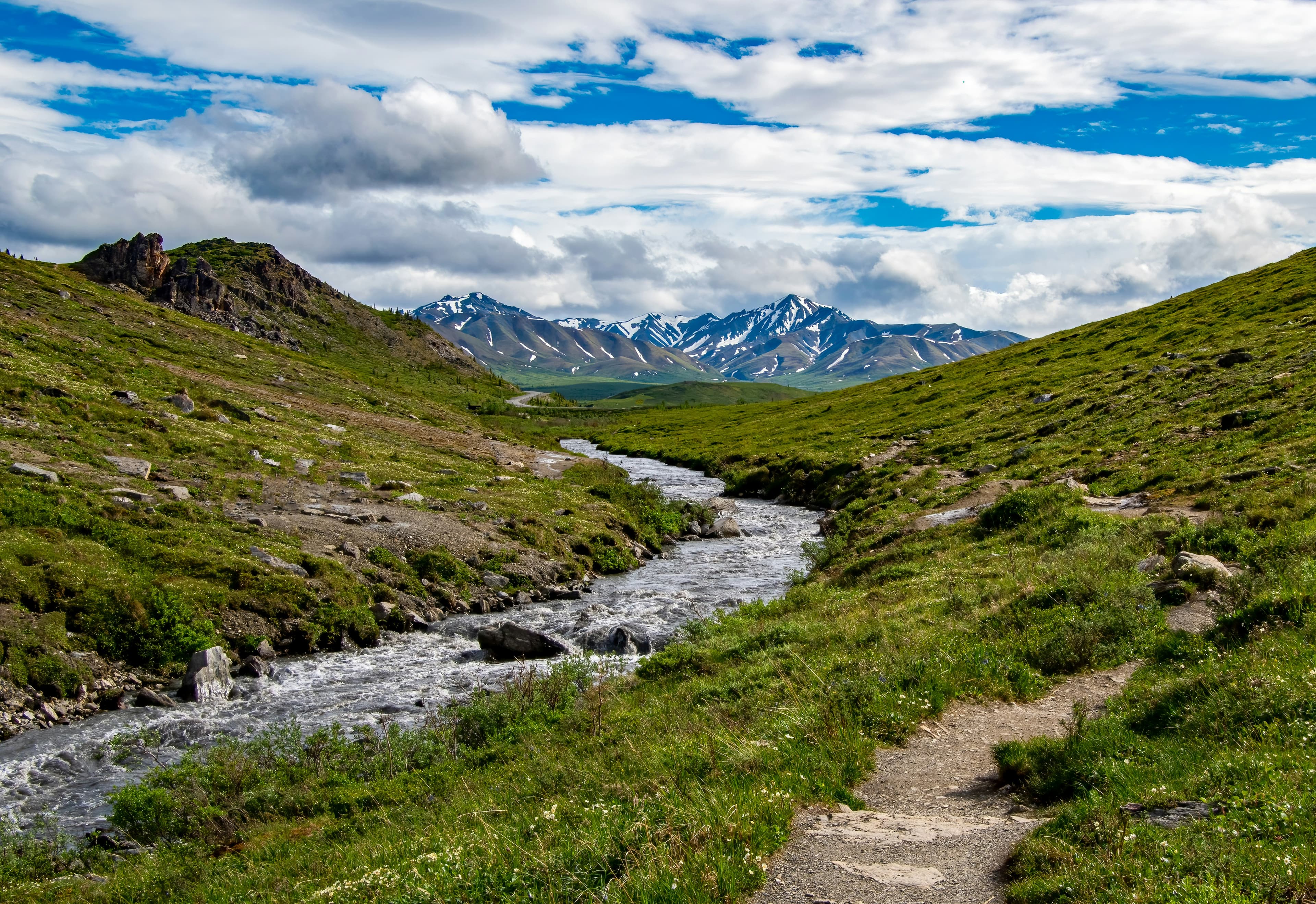 Fly Fishing Denali National Park: Arctic Grayling, Wilderness Creeks, and the Mountain That Changes Everything