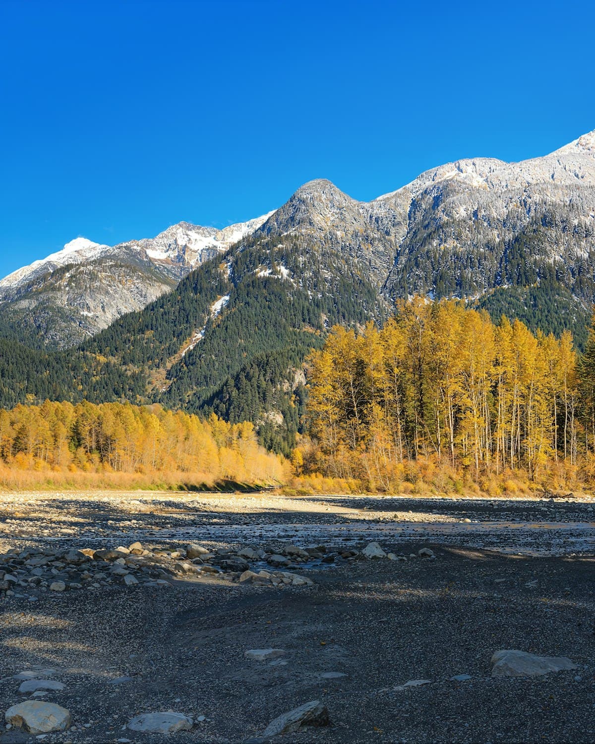 How to Fish the Skeena River and Terrace, BC: Steelhead, Chinook, Coho, and Every Technique That Works