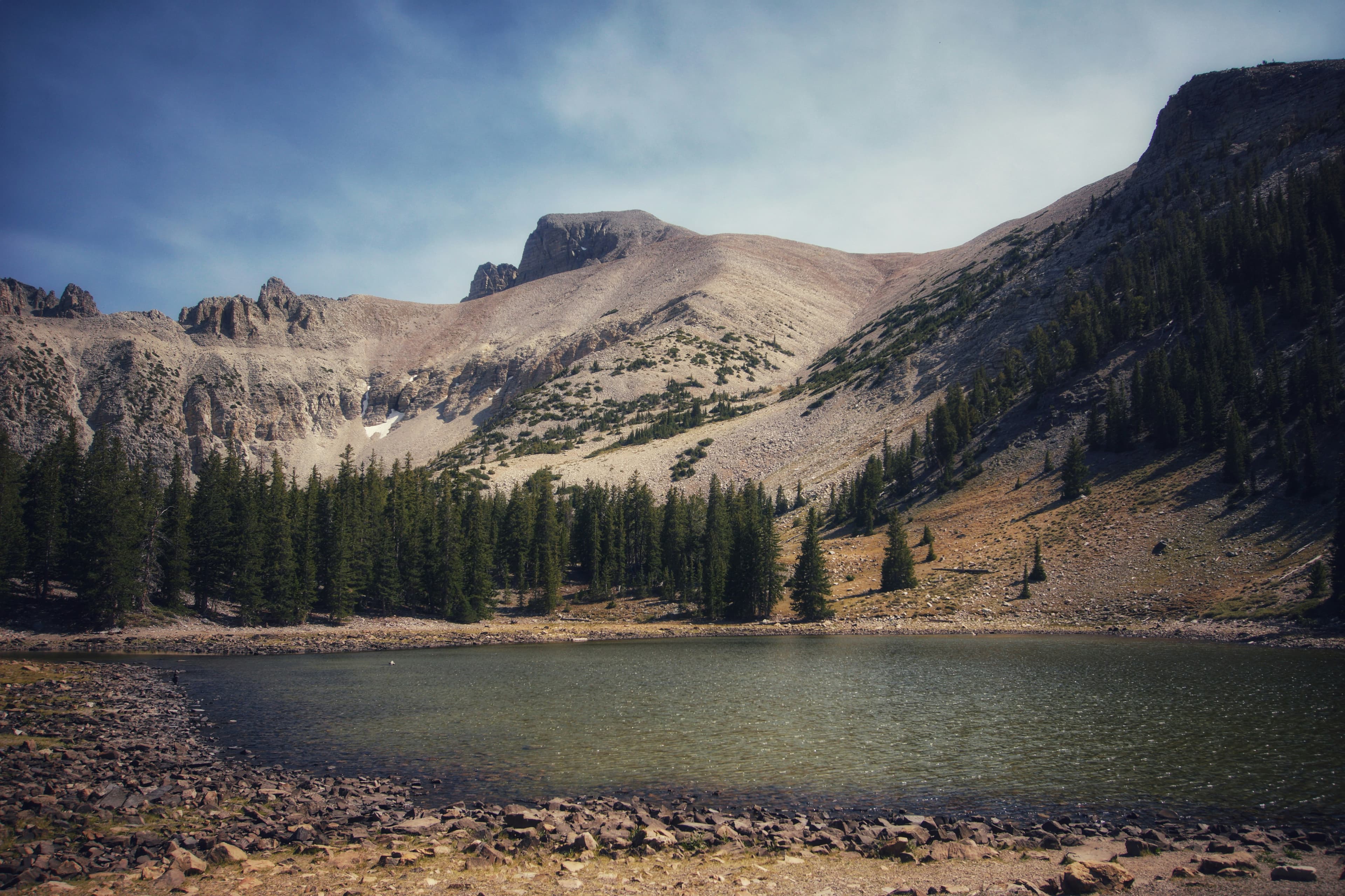 Fly Fishing Great Basin National Park: Bonneville Cutthroat Trout, Alpine Creeks, and the Loneliest Fishing in the Lower 48