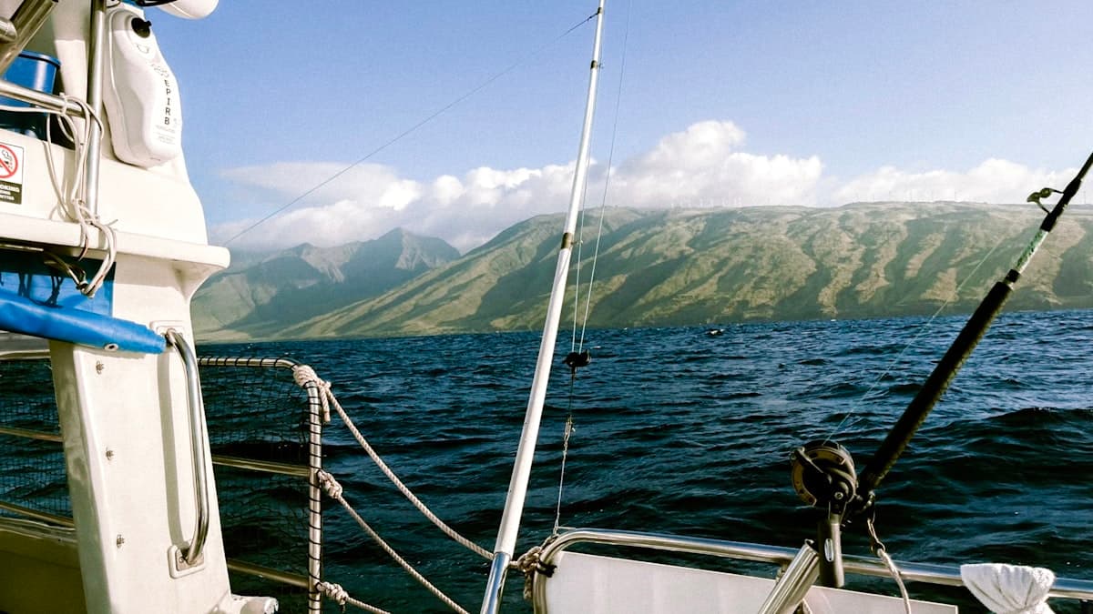 How to Fish Maui: A Beginner's Guide to Shore Fishing, Reef Species, and Pacific Blue Water