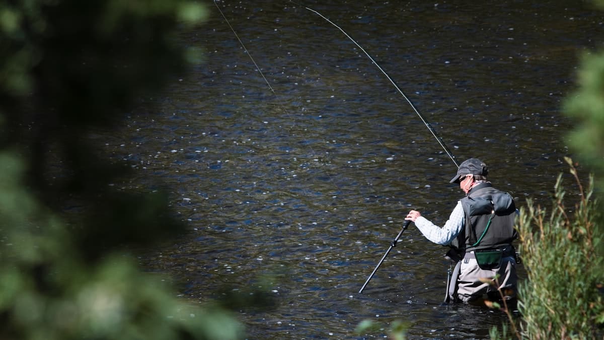 Fly Fishing Livingston, Montana: Spring Creeks, the Yellowstone, and the Town That Takes Trout Seriously