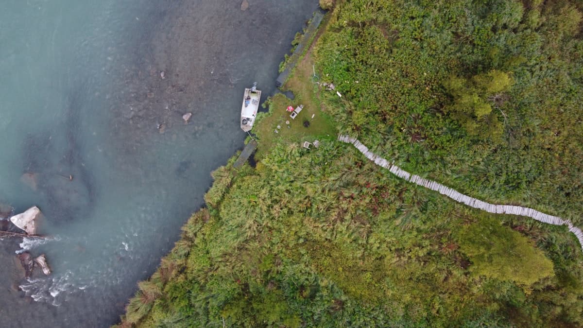 Kenai River Fishing: Five Salmon Species, Trophy Rainbows, and the Biggest Kings in Alaska