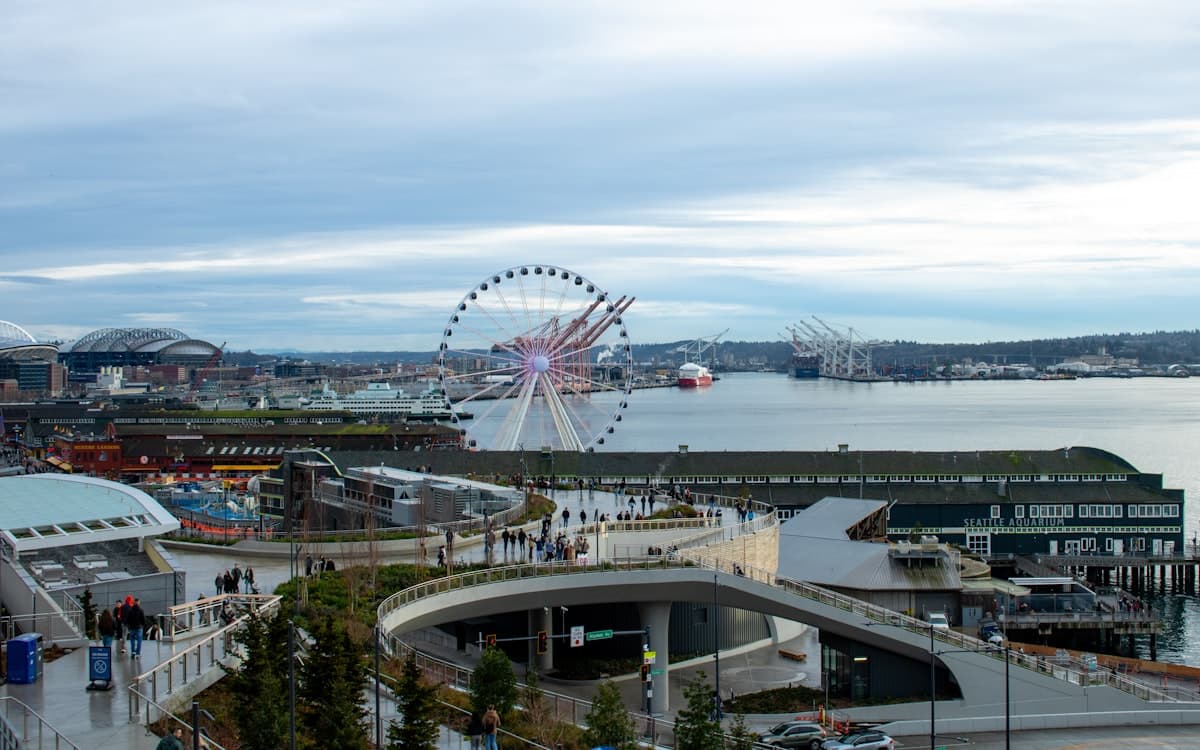 A Guide to Seattle Fishing: Species, Seasons, and Local Knowledge