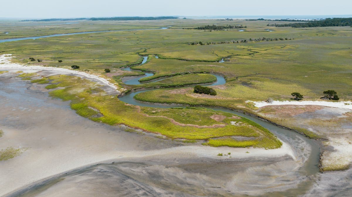 The Beginner's Guide to Fishing Hilton Head's Lowcountry Creeks and Marshes