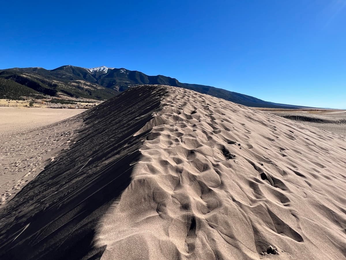 Fly Fishing Great Sand Dunes National Park: Native Cutthroat, Backcountry Creeks, and the Most Surreal Landscape in Colorado