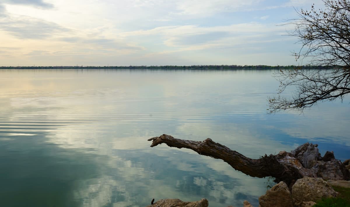 Grand Lake Fishing: Tournament Bass, Crappie Culture, and Paddlefish You Won't Find Anywhere Else