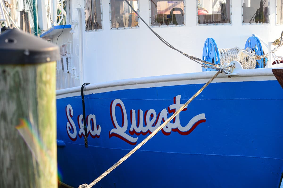 How to Fish Biloxi, Mississippi: A First-Timer's Guide to Speckled Trout, Redfish, and Flounder