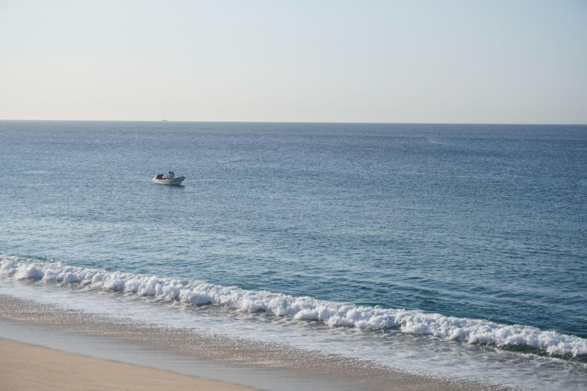 How to Fish Cabo San Lucas: A Beginner's Guide to Marlin, Dorado, and the World's Best Charter Fishing