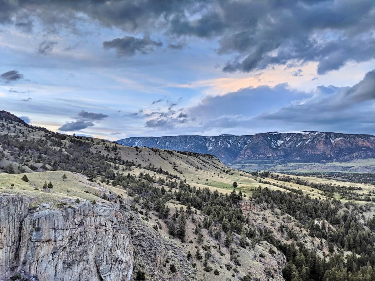 How to Fish Cody, Wyoming: A First-Timer's Guide to Shoshone River Trout
