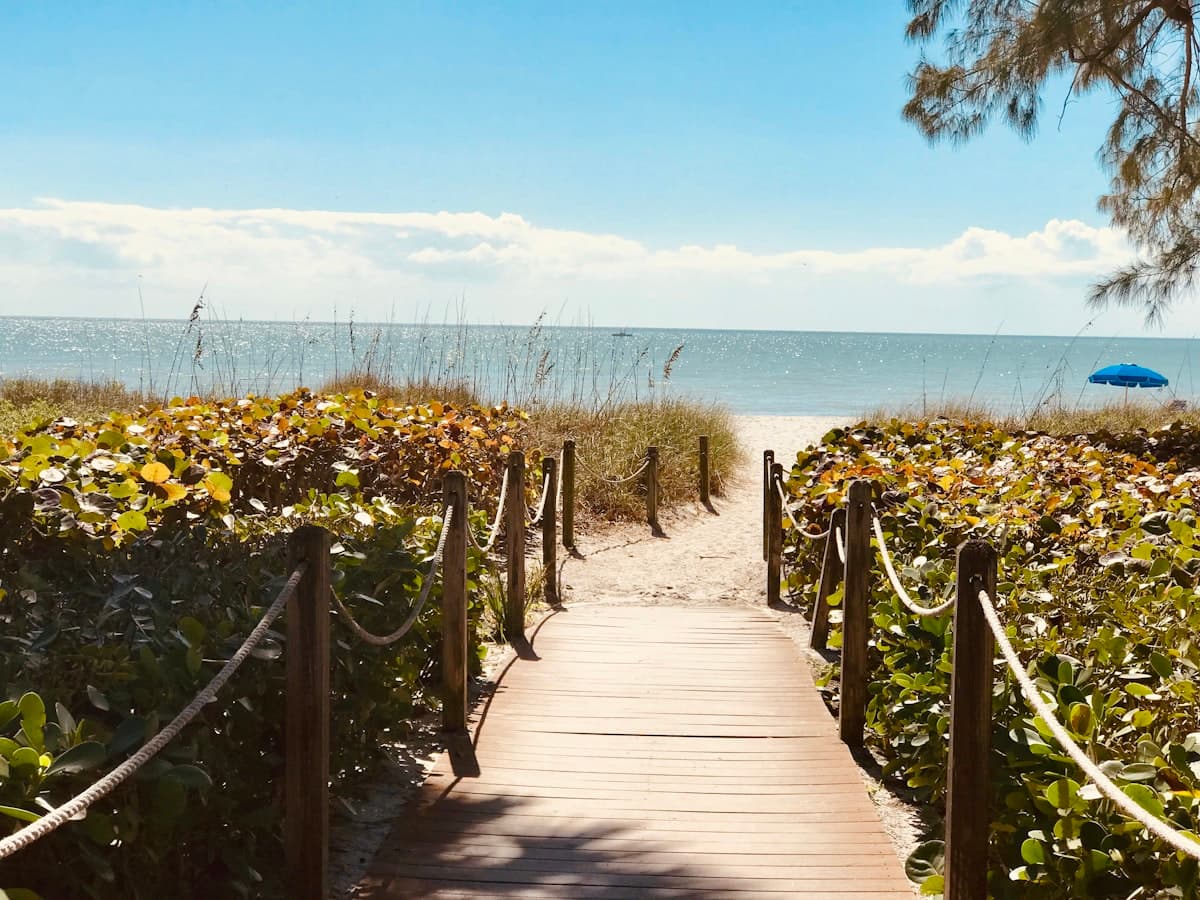 How to Fish Fort Myers: A Beginner's Guide to Mangroves, Flats, and the Gulf Coast's Best Inshore Water