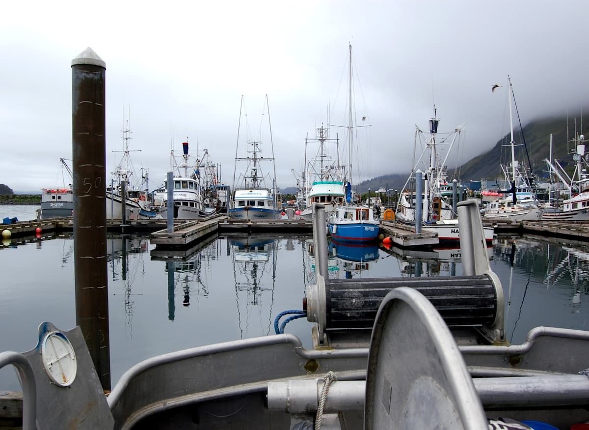 How to Fish Kodiak, Alaska: A First-Timer's Guide to Trophy Halibut and Salmon
