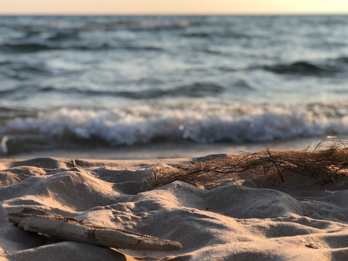 How to Fish Ludington, Michigan: A Beginner's Guide to Salmon, Steelhead, Piers, and Charters